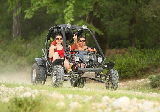 BUGGY SAFARI